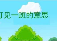 可见一斑的意思