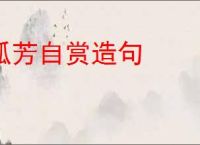 孤芳自赏造句