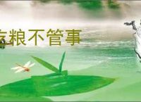吃粮不管事