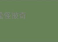 逞怪披奇