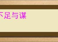 不足与谋