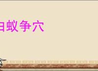 白蚁争穴