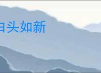 白头如新