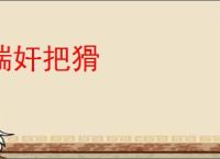 揣奸把猾