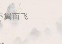 不翼而飞