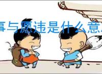 事与愿违是什么意思