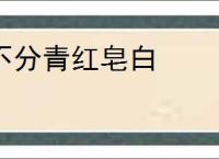 不分青红皂白