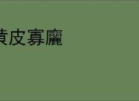 黄皮寡廲