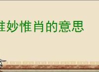 惟妙惟肖的意思