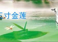 三寸金莲