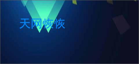 天网恢恢