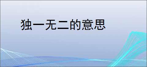独一无二的意思