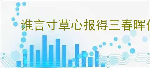 谁言寸草心报得三春晖什么意思
