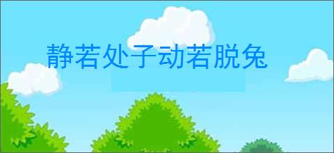 静若处子动若脱兔