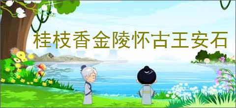 桂枝香金陵怀古王安石