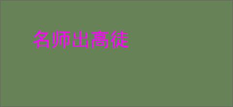 名师出高徒
