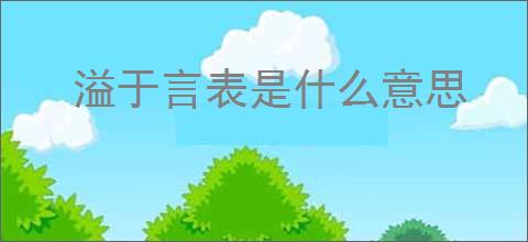 溢于言表是什么意思