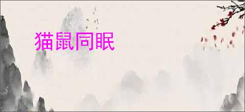 猫鼠同眠