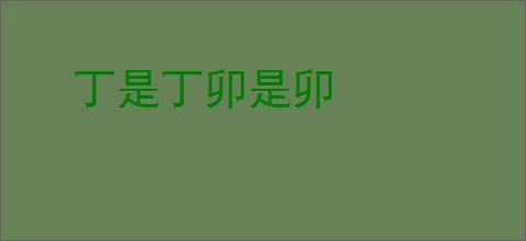 丁是丁卯是卯