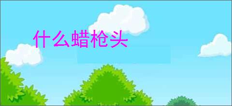 什么蜡枪头