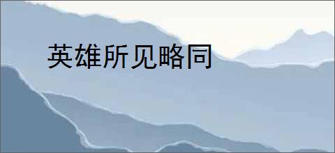 英雄所见略同