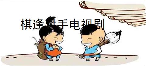棋逢对手电视剧