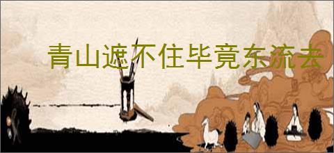 青山遮不住毕竟东流去