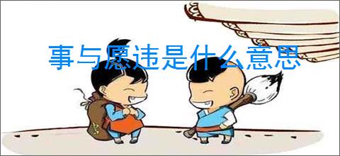 事与愿违是什么意思