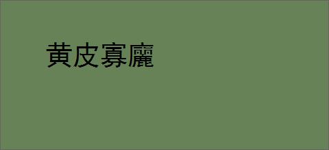 黄皮寡廲