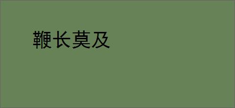 鞭长莫及