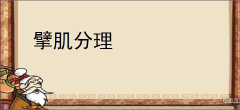 擘肌分理