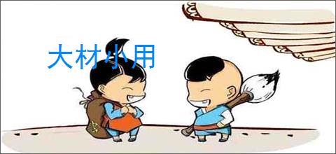 大材小用