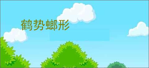 鹤势螂形