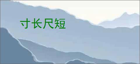 寸长尺短