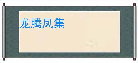 龙腾凤集