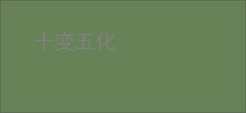 十变五化
