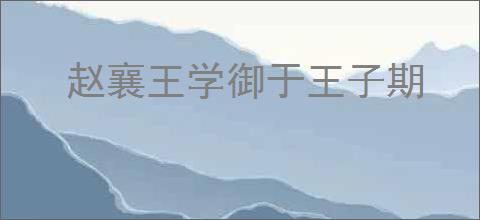 赵襄王学御于王子期