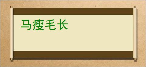 马瘦毛长