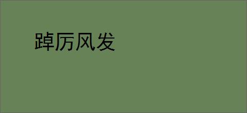 踔厉风发