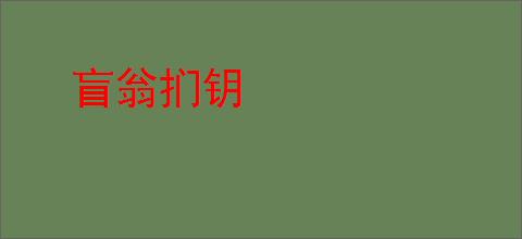 盲翁扪钥