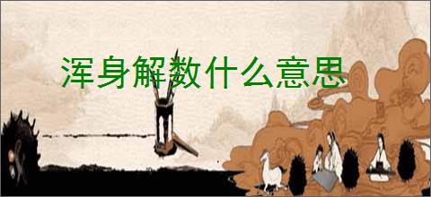浑身解数什么意思