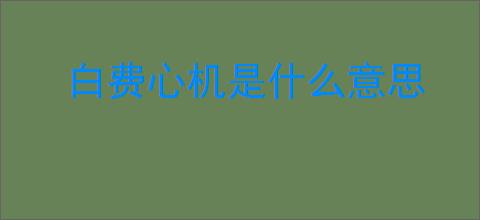 白费心机是什么意思