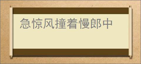 急惊风撞着慢郎中