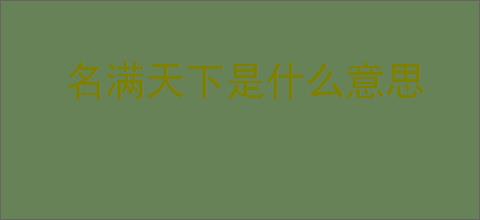名满天下是什么意思