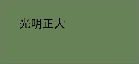 光明正大