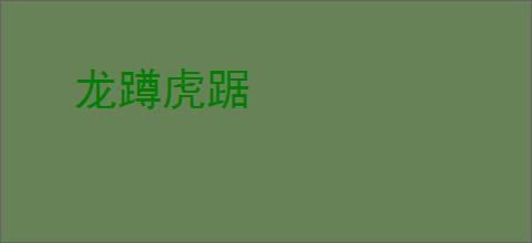 龙蹲虎踞