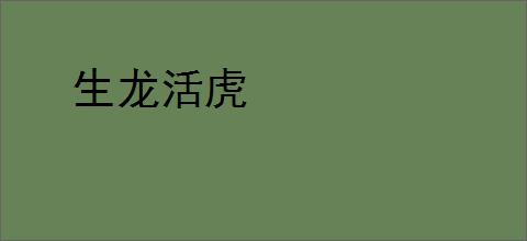 生龙活虎
