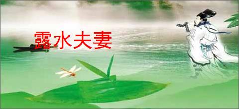 露水夫妻