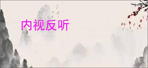 内视反听