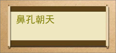 鼻孔朝天